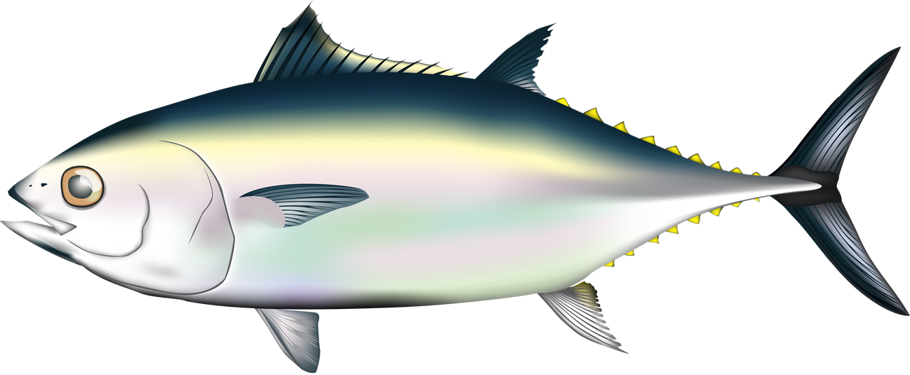 Tuna Png (lavender, beige, black, white, silver)