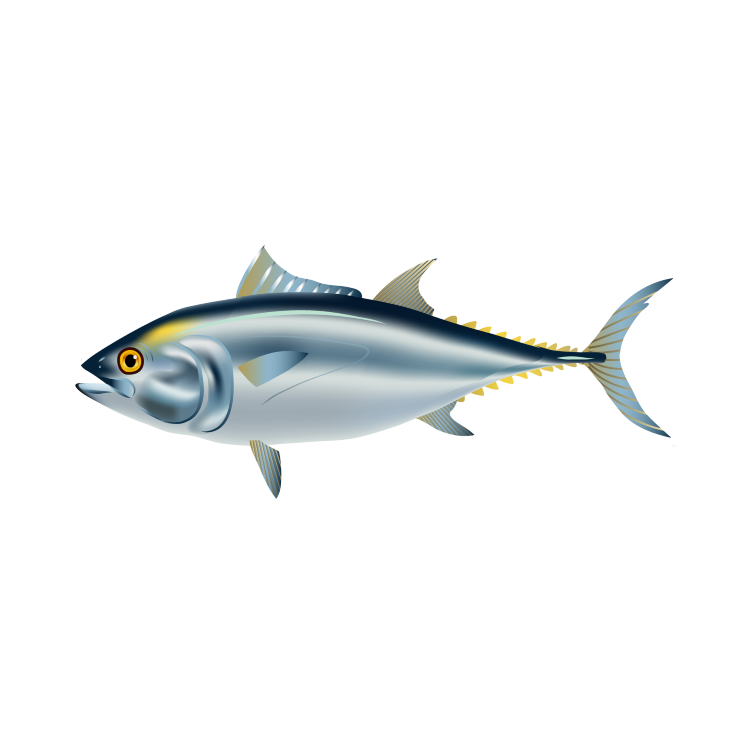 Tuna Png Hd Isolated (black, silver, lavender)