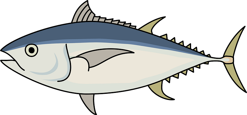 Tuna Png Pic (gray, beige)