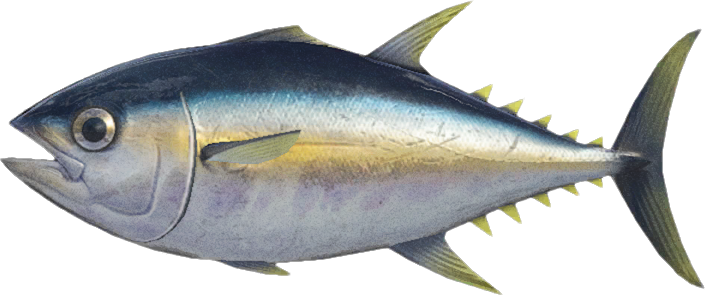 Tuna Png Picture (black)