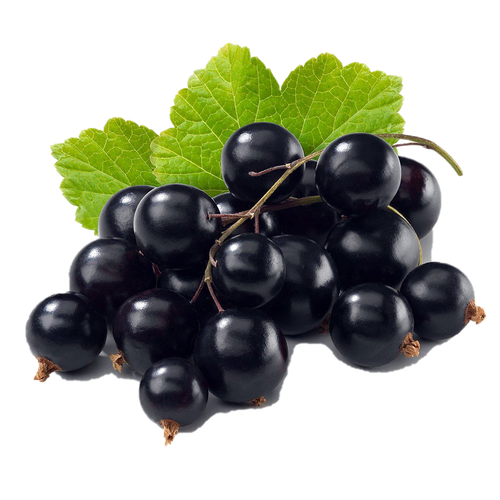 Bunch Black Currant Berries Png (black)