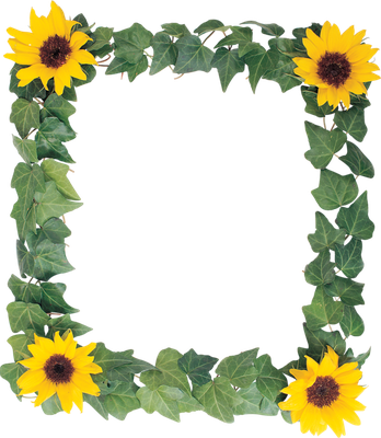 Sunflower Border Png Hd (black, gold)