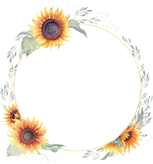 Sunflower Border Png Isolated Transparent (black)