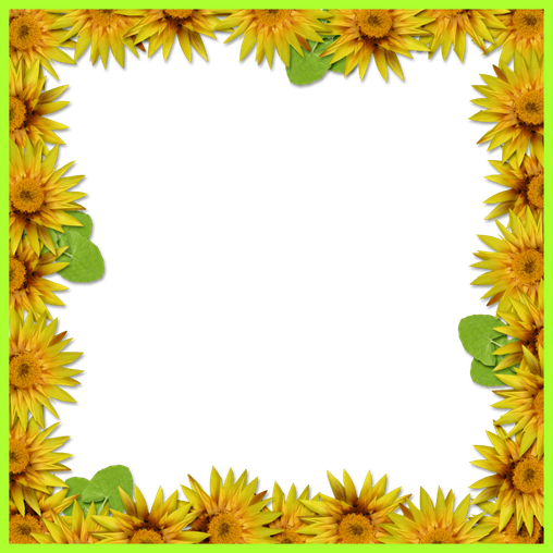 Sunflower Border Png Photo (yellow, black)