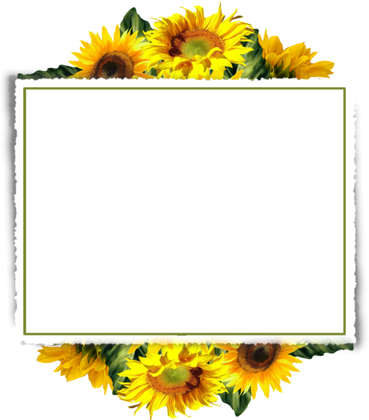 Sunflower Border Png (beige, black, gray, white, silver)