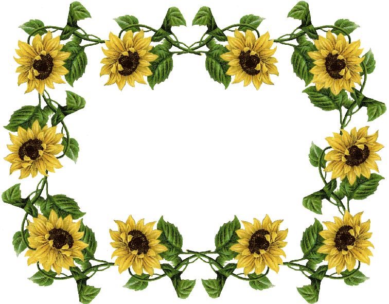 Sunflower Frame Png Clipart (white)