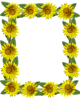 Sunflower Frame Png Hd Isolated (black, chocolate, gold)