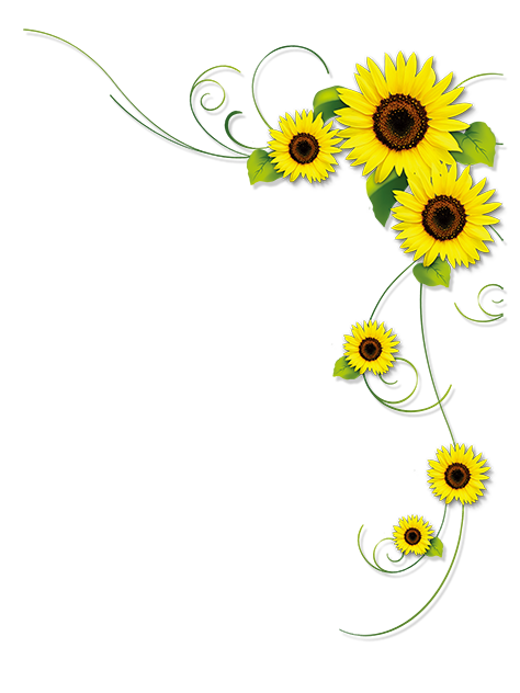 Sunflower Frame Png Isolated File (black)