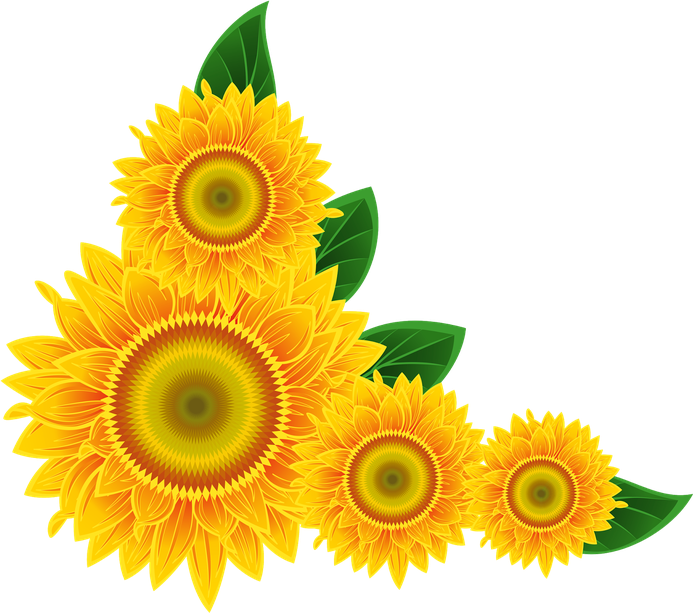 Sunflower Frame Png Isolated Hd (black, orange, chocolate, gold)