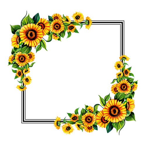 Sunflower Frame Png Photos (indigo, black, gray, white, silver)