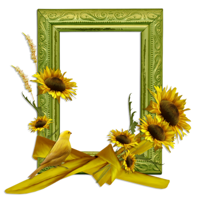 Sunflower Frame Transparent Png (black)