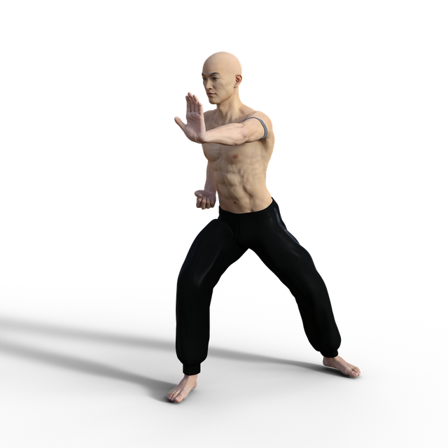 Kung Fu Png Pic (black)