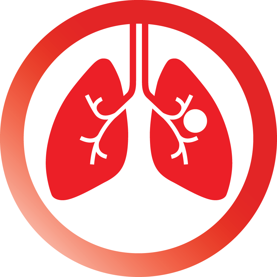 Lung Png Image (red, white)