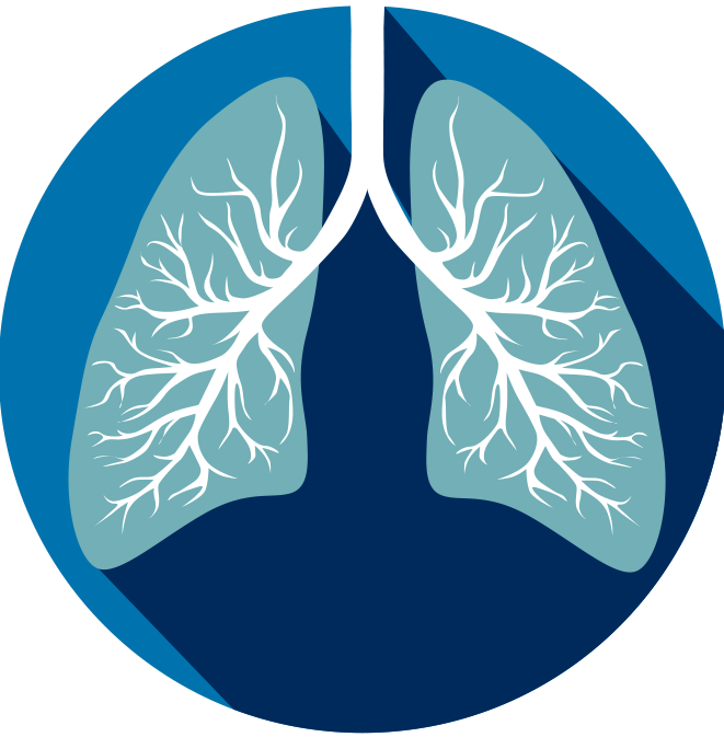 Lung Png Isolated Hd (gray, black, teal, white, navy)