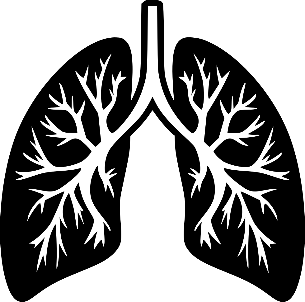 Lung Transparent Png (white, black)