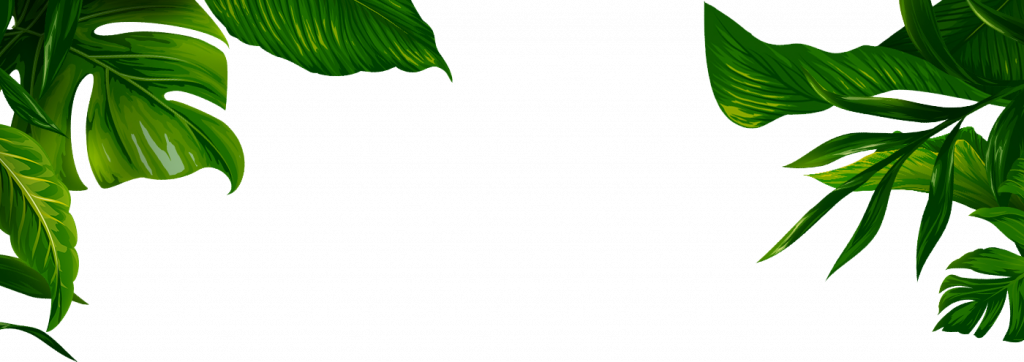 Jungle Border Png Clipart (green, black)