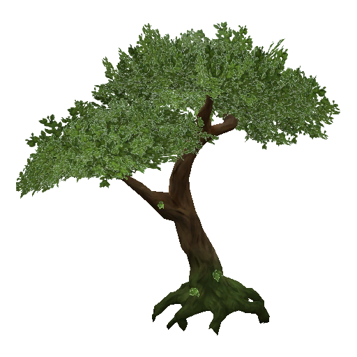 Jungle Tree Png Pic (white)