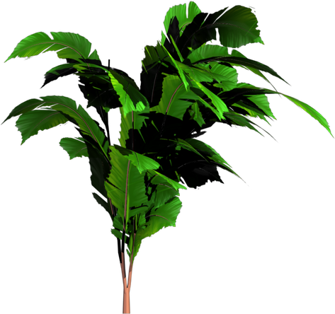 Jungle Tree Png (black)