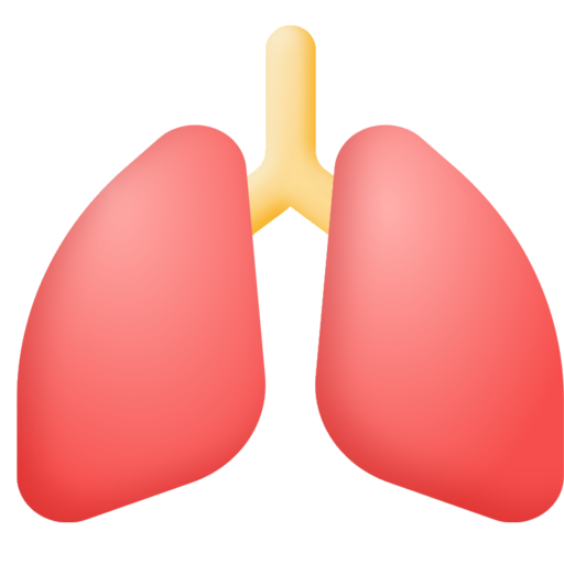 Lungs Free Transparent Png Icon Download (salmon, black)