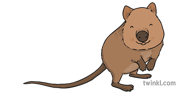 Quokka Png Hd (gray, salmon)