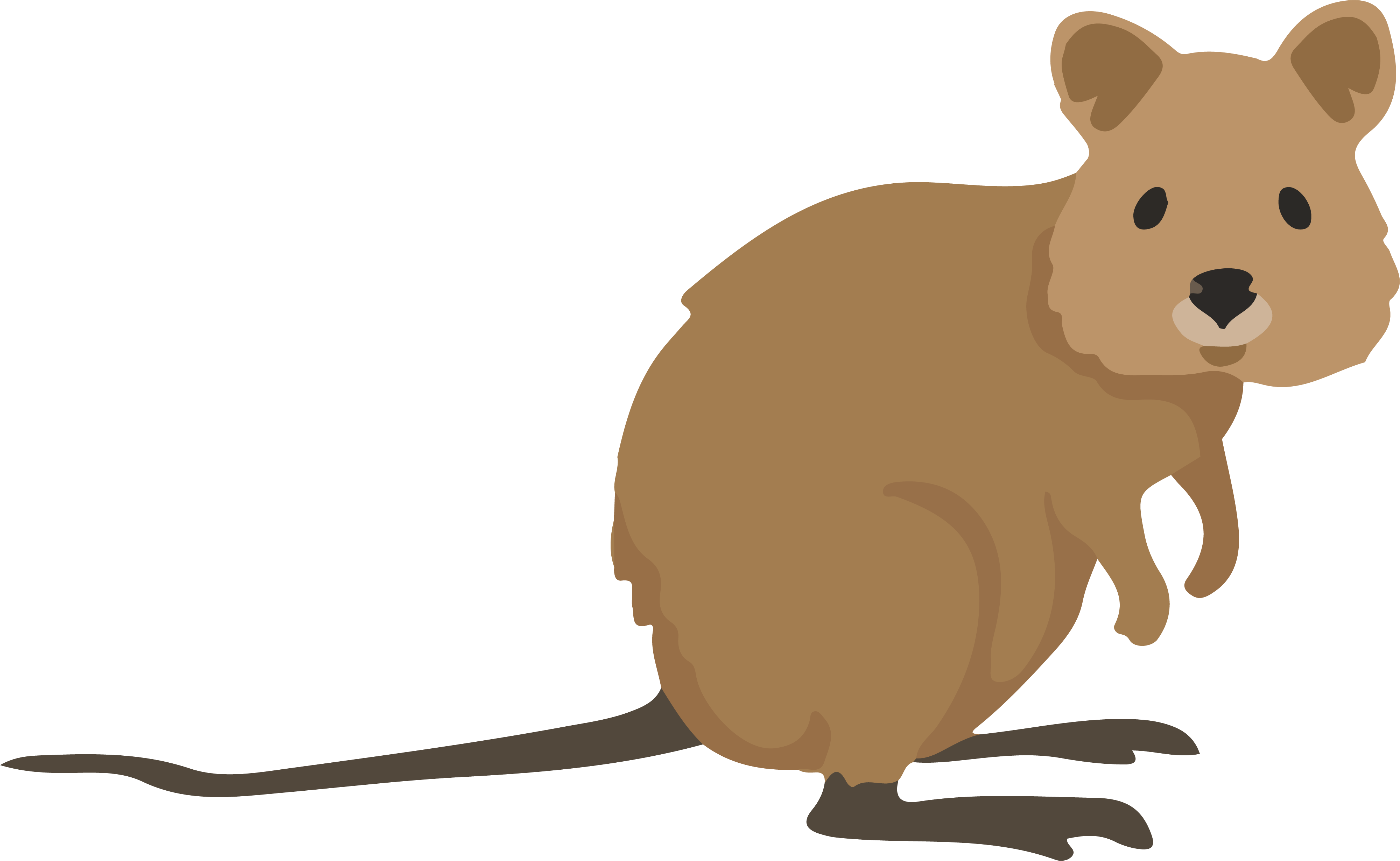 Quokka Png Photo (gray, olive, salmon, white)