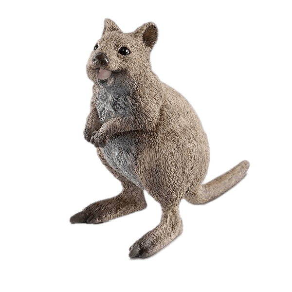 Quokka Png Picture (gray)