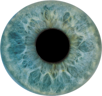 Pupil Download Png Image (gray, black)