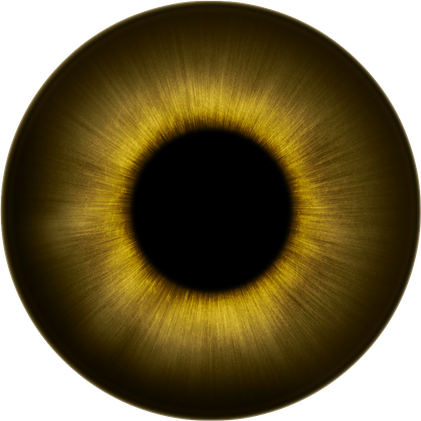 Pupil Png File (black)