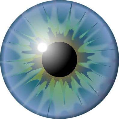 Pupil Png Hd Isolated (gray, black, white)