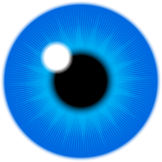 Pupil Png Pic (teal, black)