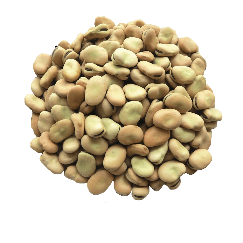 Lupini Beans Png Hd (gray)