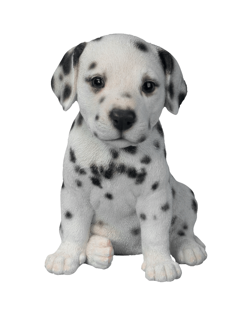 Puppies Png Image (silver, gray, black)