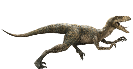 Jurassic World Png Transparent Image (gray, black)