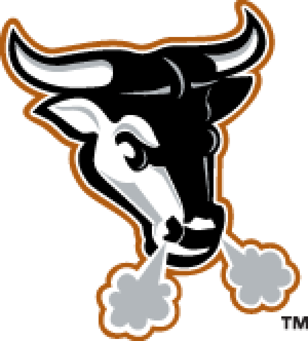 Durham Bulls Png File (black, silver, white)