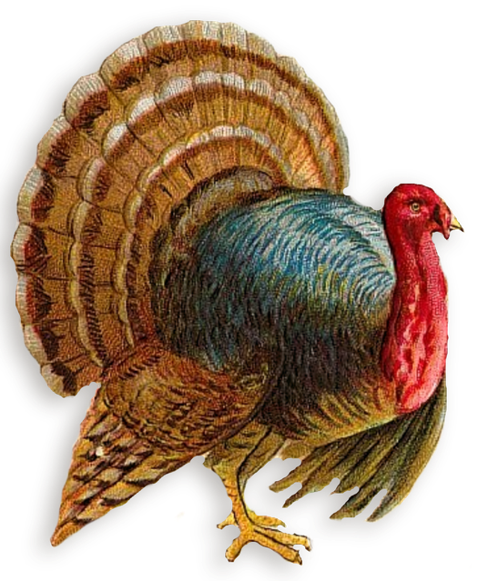 Turkey Png Clipart (indigo, black)