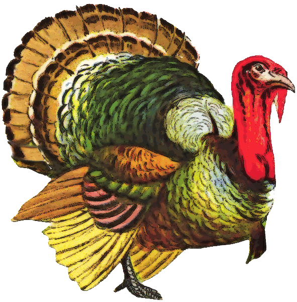 Turkey Png File (olive, black, red, white)