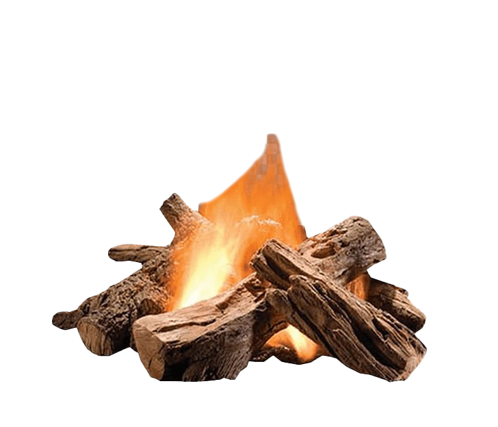 Burning Firewood Transparent Png (black, pink, olive, white)