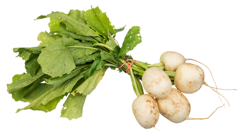 Turnip Png Isolated Image (black, gray, pink, beige)