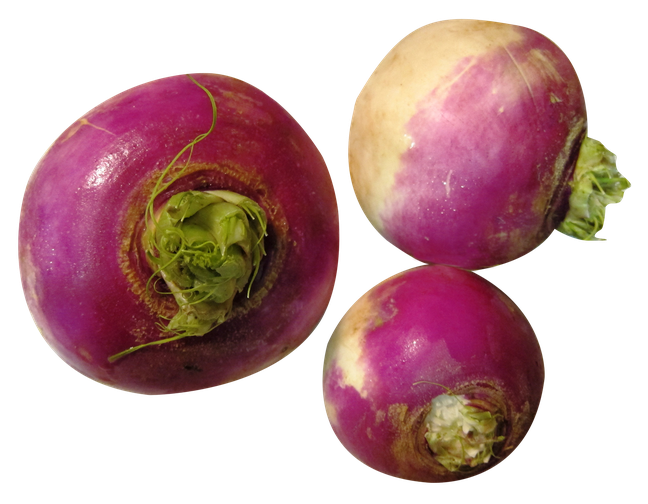 Turnip Png Isolated Photo (black, gray, pink, purple, salmon)