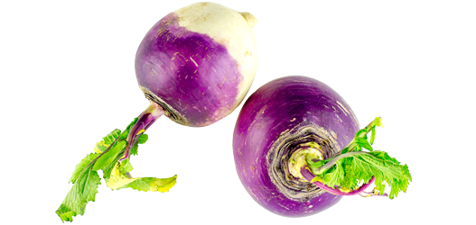 Turnip Png Pic (white)