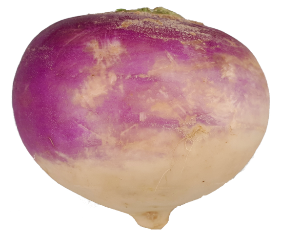 Turnip Png Transparent (black, silver)