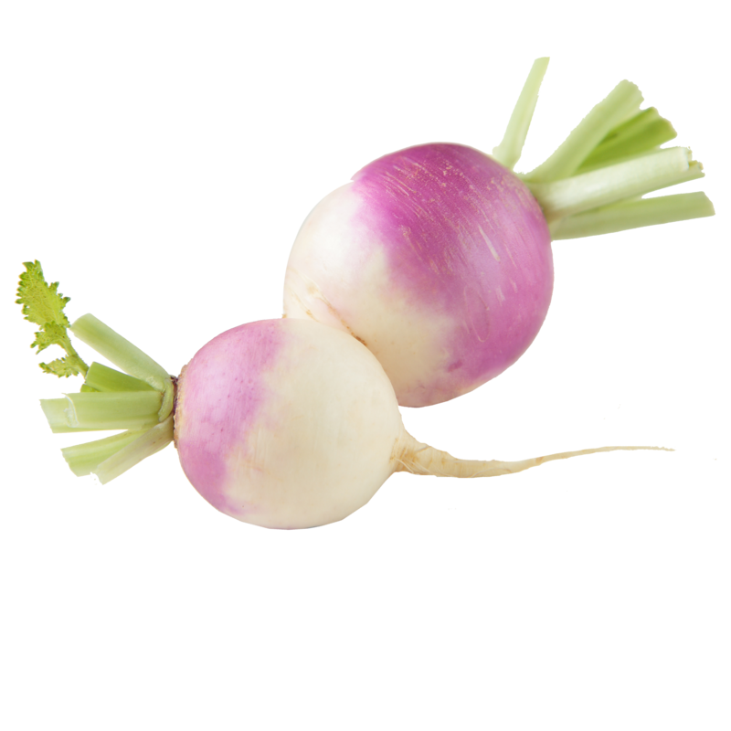 Turnip Png (black, beige)