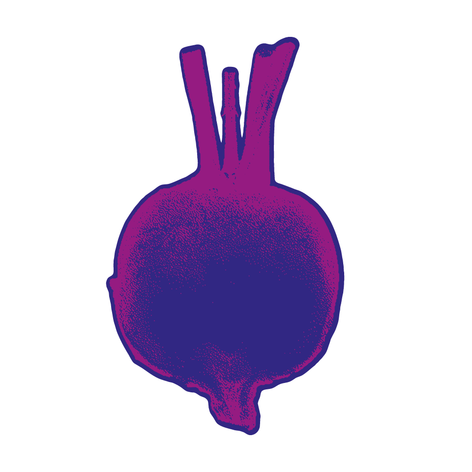 Turnip Transparent Png (indigo, purple, white)