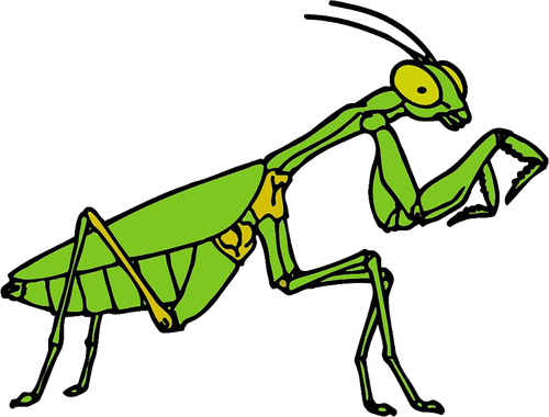 European Mantis Png Hd (olive, black)