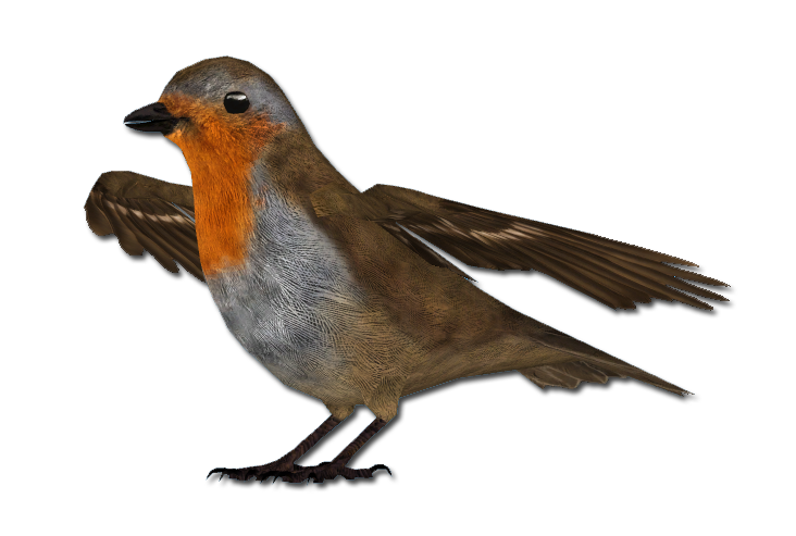 European Robin Png Free Download (lavender, gray, white, black, silver)