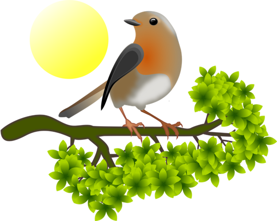 European Robin Png Hd (olive, yellow, black, beige)