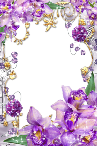 Purple Border Frame Png Transparent Image (silver, black)