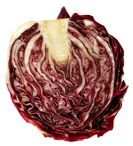 Purple Half Cabbage Png Image 1 (black)