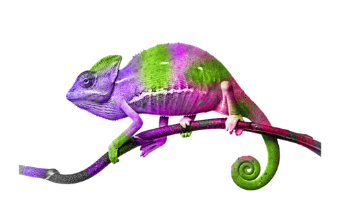 Purple Lizard Png Picture (black, indigo, gray)