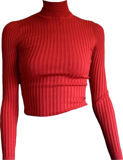 Turtle Neck Shirt Png Isolated Hd (maroon, black)